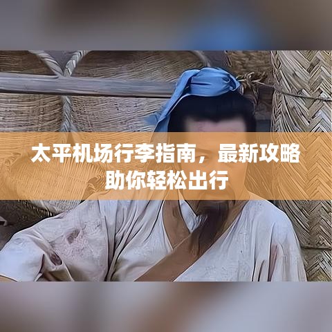 太平機場行李指南，最新攻略助你輕松出行