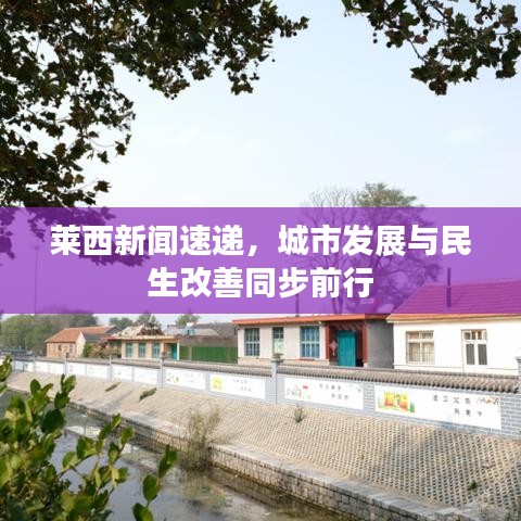 萊西新聞速遞，城市發(fā)展與民生改善同步前行