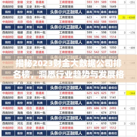 揭秘2023財(cái)金大數(shù)據(jù)公司排名榜，洞悉行業(yè)趨勢(shì)與發(fā)展格局