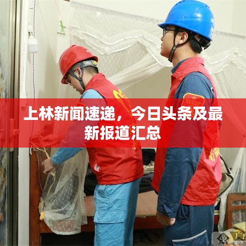 上林新聞速遞，今日頭條及最新報道匯總