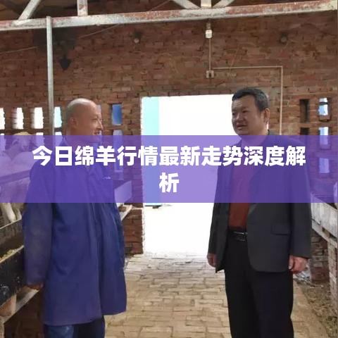 今日綿羊行情最新走勢(shì)深度解析