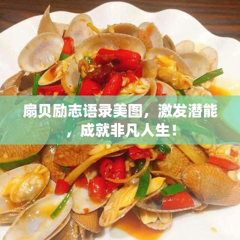 扇貝勵(lì)志語(yǔ)錄美圖，激發(fā)潛能，成就非凡人生！