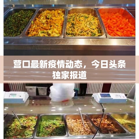 營口最新疫情動(dòng)態(tài)，今日頭條獨(dú)家報(bào)道