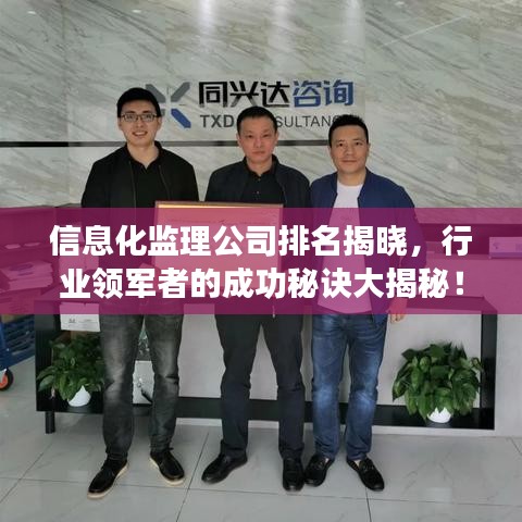 信息化監(jiān)理公司排名揭曉，行業(yè)領(lǐng)軍者的成功秘訣大揭秘！