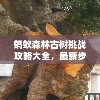 螞蟻森林古樹挑戰(zhàn)攻略大全，最新步驟解析，輕松玩轉(zhuǎn)古樹挑戰(zhàn)！