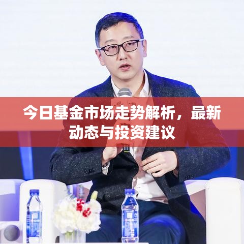 今日基金市場(chǎng)走勢(shì)解析，最新動(dòng)態(tài)與投資建議