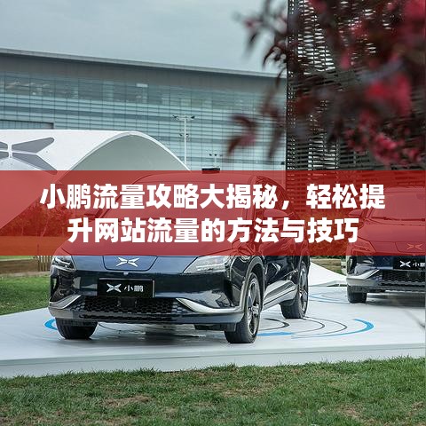 小鵬流量攻略大揭秘，輕松提升網(wǎng)站流量的方法與技巧