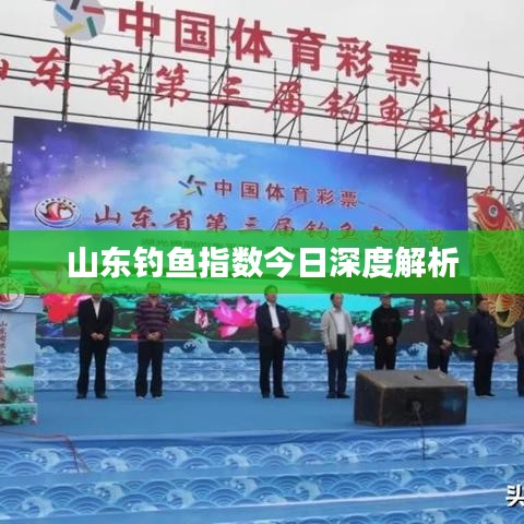 山東釣魚指數(shù)今日深度解析