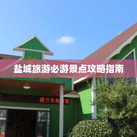 鹽城旅游必游景點(diǎn)攻略指南