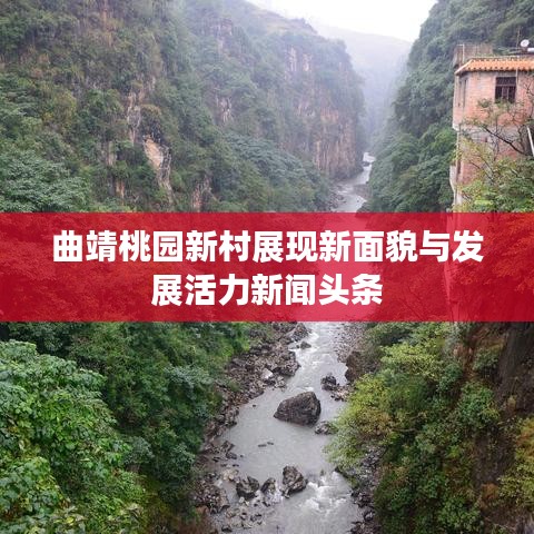 曲靖桃園新村展現(xiàn)新面貌與發(fā)展活力新聞?lì)^條