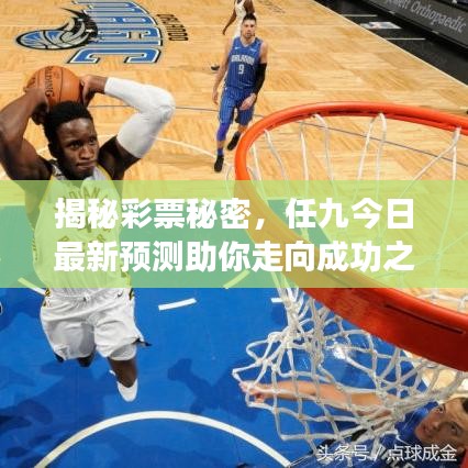 揭秘彩票秘密，任九今日最新預(yù)測助你走向成功之路