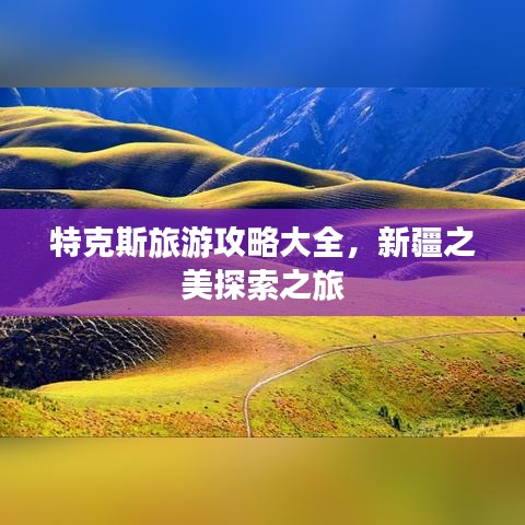 特克斯旅游攻略大全，新疆之美探索之旅