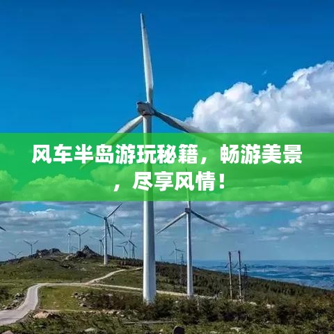 風(fēng)車半島游玩秘籍，暢游美景，盡享風(fēng)情！