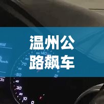 溫州公路飆車事件揭秘，速度與悲劇的交匯視頻曝光！