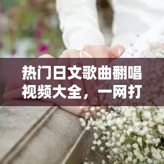 熱門日文歌曲翻唱視頻大全，一網(wǎng)打盡最新佳作！