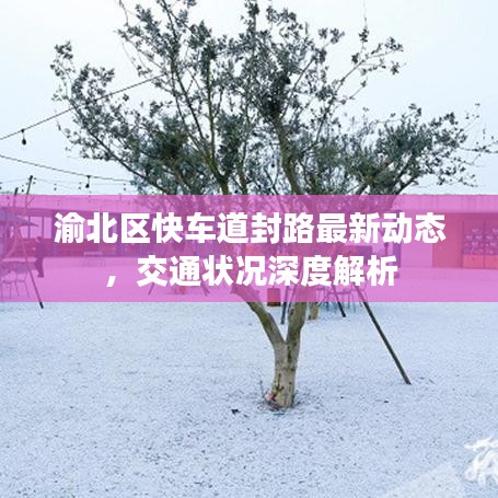 渝北區(qū)快車道封路最新動態(tài)，交通狀況深度解析