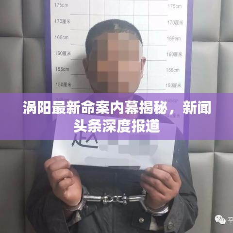 渦陽(yáng)最新命案內(nèi)幕揭秘，新聞?lì)^條深度報(bào)道