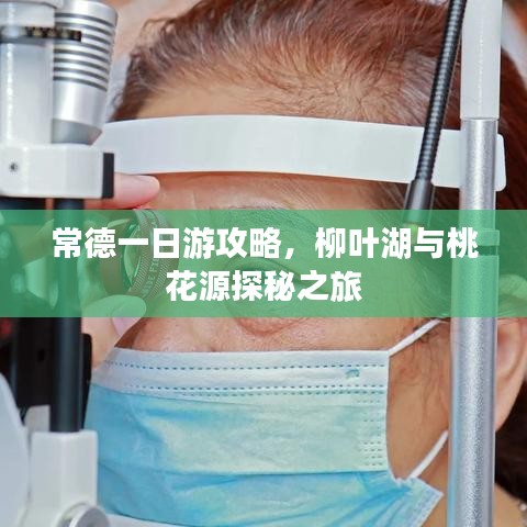 常德一日游攻略，柳葉湖與桃花源探秘之旅