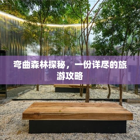彎曲森林探秘，一份詳盡的旅游攻略