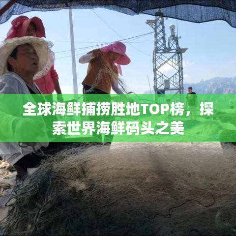 全球海鮮捕撈勝地TOP榜，探索世界海鮮碼頭之美
