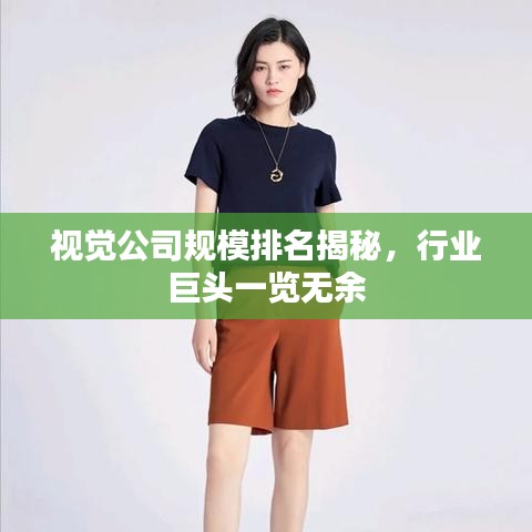 視覺公司規(guī)模排名揭秘，行業(yè)巨頭一覽無(wú)余