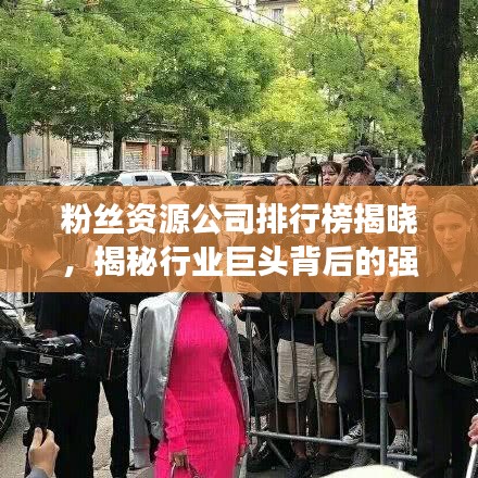 粉絲資源公司排行榜揭曉，揭秘行業(yè)巨頭背后的強(qiáng)大力量