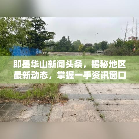 即墨華山新聞?lì)^條，揭秘地區(qū)最新動(dòng)態(tài)，掌握一手資訊窗口