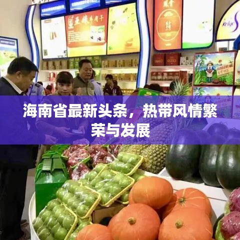 海南省最新頭條，熱帶風(fēng)情繁榮與發(fā)展
