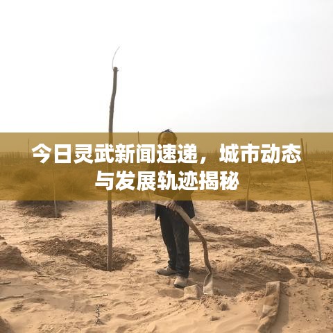 今日靈武新聞速遞，城市動(dòng)態(tài)與發(fā)展軌跡揭秘