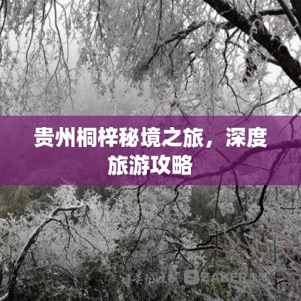貴州桐梓秘境之旅，深度旅游攻略