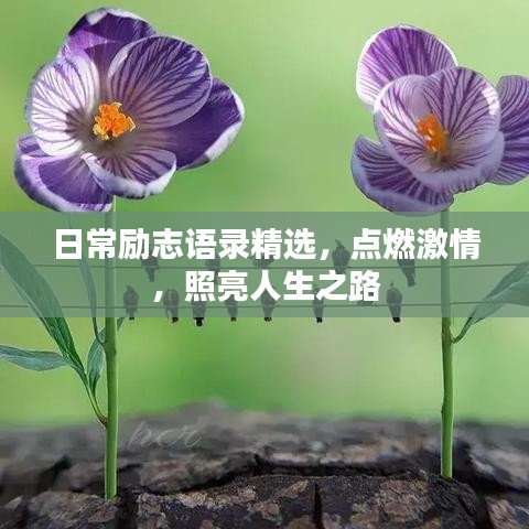 日常勵(lì)志語(yǔ)錄精選，點(diǎn)燃激情，照亮人生之路
