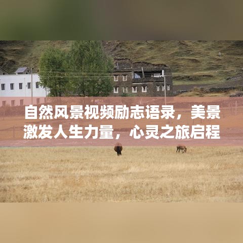 自然風(fēng)景視頻勵(lì)志語(yǔ)錄，美景激發(fā)人生力量，心靈之旅啟程！