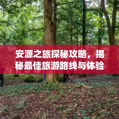 安源之旅探秘攻略，揭秘最佳旅游路線與體驗(yàn)大全