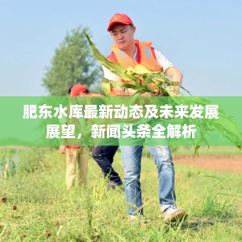 肥東水庫(kù)最新動(dòng)態(tài)及未來(lái)發(fā)展展望，新聞?lì)^條全解析