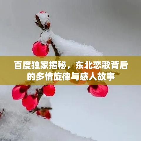 百度獨家揭秘，東北戀歌背后的多情旋律與感人故事