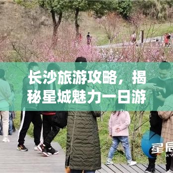 長沙旅游攻略，揭秘星城魅力一日游