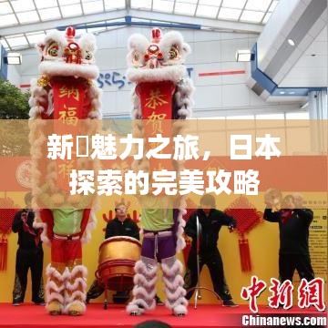 新潟魅力之旅，日本探索的完美攻略