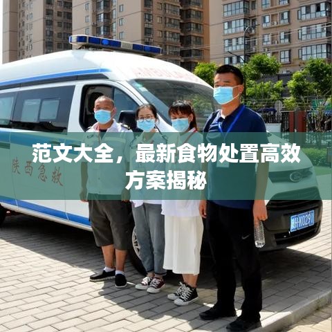 范文大全，最新食物處置高效方案揭秘
