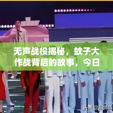 無(wú)聲戰(zhàn)役揭秘，蚊子大作戰(zhàn)背后的故事，今日頭條獨(dú)家報(bào)道