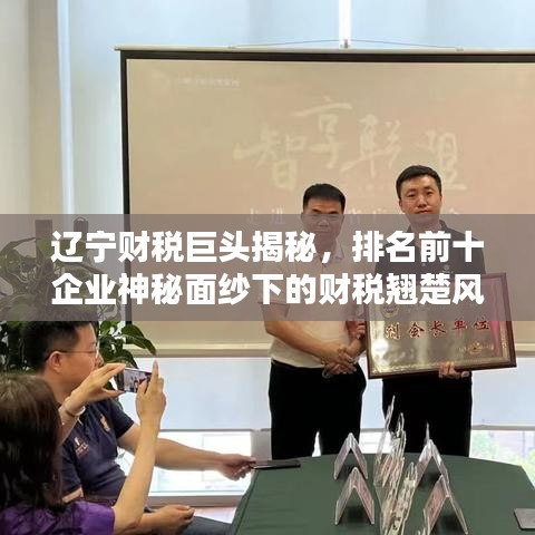 遼寧財稅巨頭揭秘，排名前十企業(yè)神秘面紗下的財稅翹楚風(fēng)采