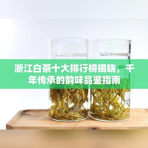 浙江白茶十大排行榜揭曉，千年傳承的韻味品鑒指南