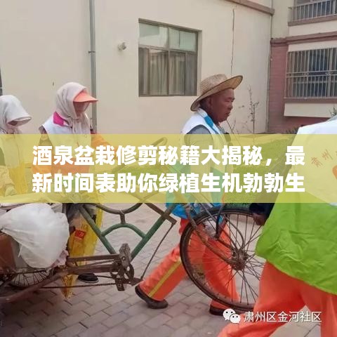 酒泉盆栽修剪秘籍大揭秘，最新時(shí)間表助你綠植生機(jī)勃勃生長(zhǎng)！