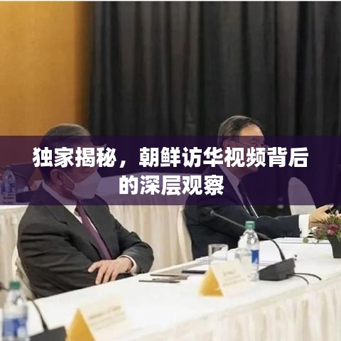 獨家揭秘，朝鮮訪華視頻背后的深層觀察
