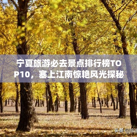 寧夏旅游必去景點排行榜TOP10，塞上江南驚艷風光探秘