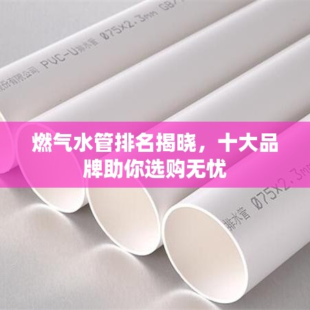 燃?xì)馑芘琶視?，十大品牌助你選購無憂