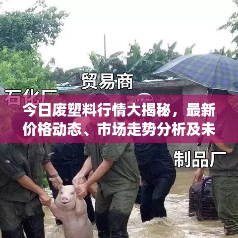 今日廢塑料行情大揭秘，最新價(jià)格動(dòng)態(tài)、市場走勢(shì)分析及未來展望！