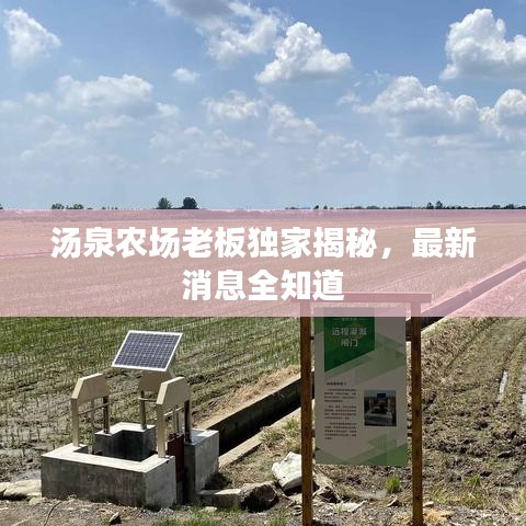 湯泉農(nóng)場(chǎng)老板獨(dú)家揭秘，最新消息全知道