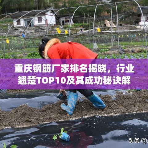 重慶鋼筋廠家排名揭曉，行業(yè)翹楚TOP10及其成功秘訣解讀