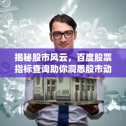 揭秘股市風(fēng)云，百度股票指標(biāo)查詢(xún)助你洞悉股市動(dòng)態(tài)