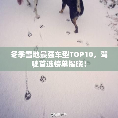 冬季雪地最強(qiáng)車型TOP10，駕駛首選榜單揭曉！